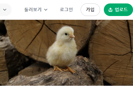 [2024-08-05 경제 뉴스] 아이엘사이언스, IR전문가 정희문 실장 영입으로 본격 성장 기대